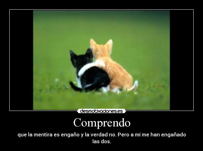 Comprendo - que la mentira es engaño y la verdad no. Pero a mí me han engañado las dos.