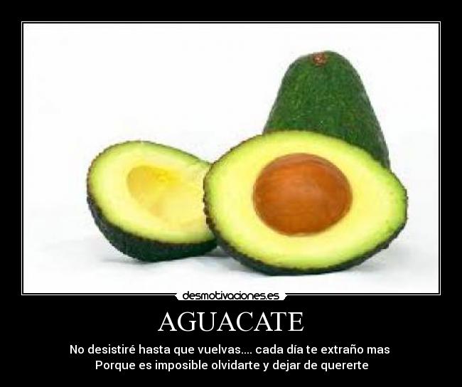 AGUACATE - No desistiré hasta que vuelvas.... cada día te extraño mas
Porque es imposible olvidarte y dejar de quererte