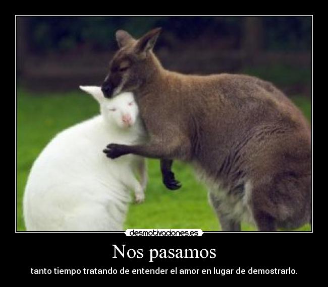 carteles los animales solo demuestran desmotivaciones