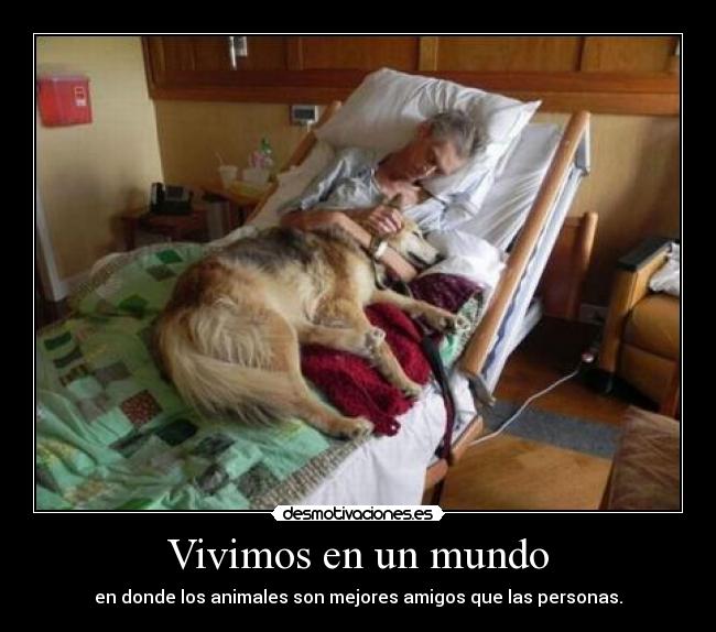 Vivimos en un mundo -