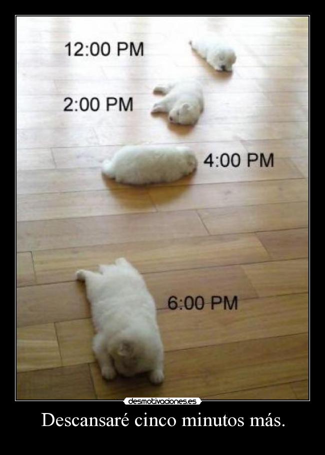 Descansaré cinco minutos más. -