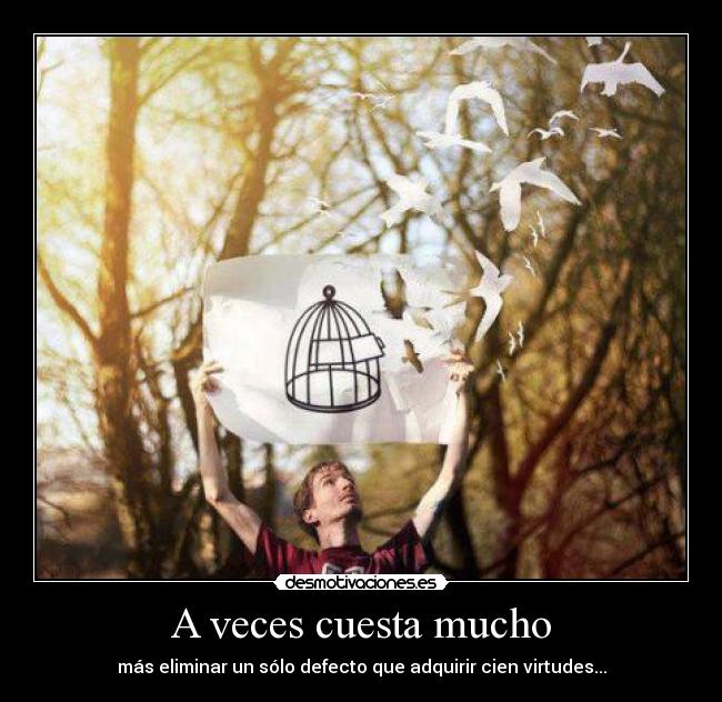 A veces cuesta mucho - más eliminar un sólo defecto que adquirir cien virtudes...