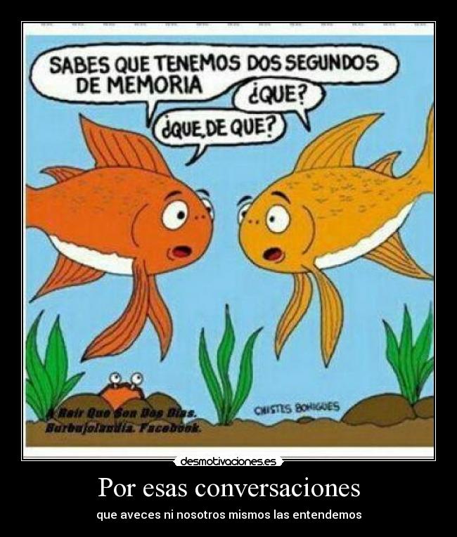 Por esas conversaciones - que aveces ni nosotros mismos las entendemos