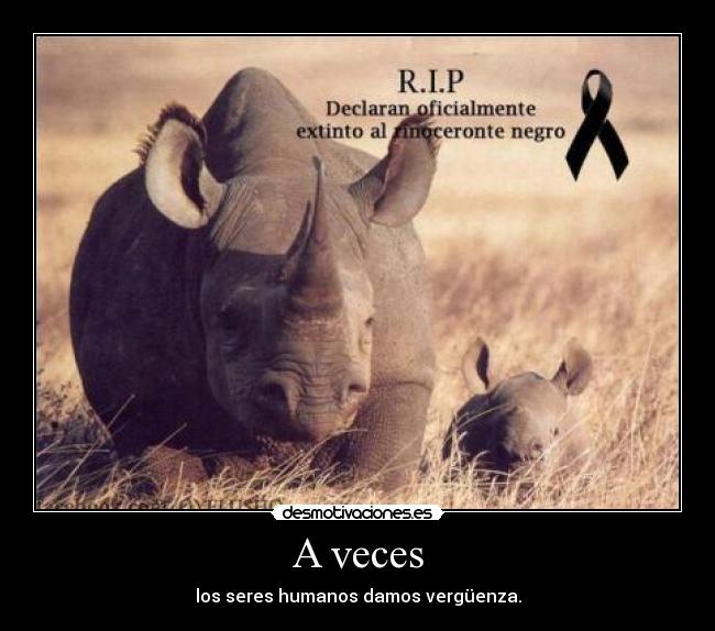 A veces - los seres humanos damos vergüenza.