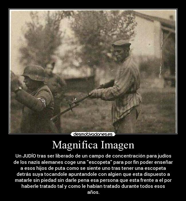 Magnifica Imagen -