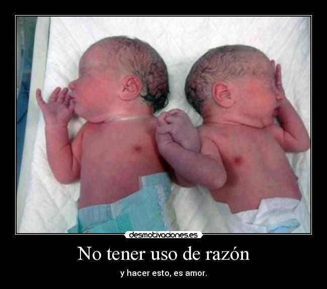 carteles preciosidad hermanos siempre uso razon amor cute nacimiento bebes recien nacidos desmotivaciones