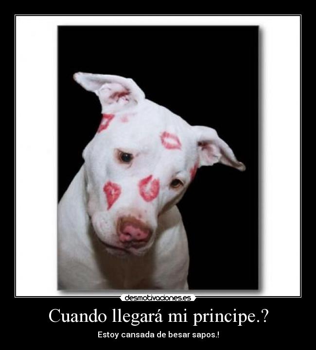 Cuando llegará mi principe.? -