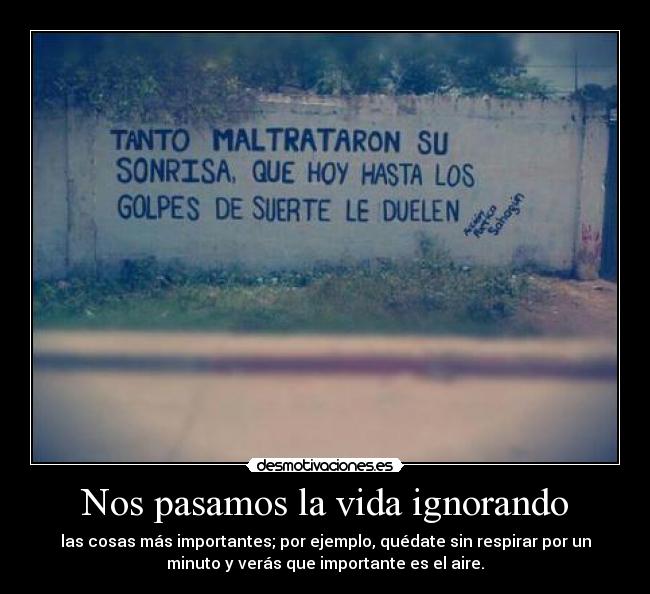 Nos pasamos la vida ignorando - las cosas más importantes; por ejemplo, quédate sin respirar por un
minuto y verás que importante es el aire.
