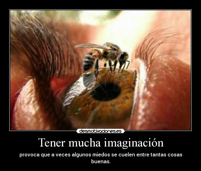 Tener mucha imaginación -