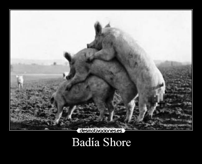 Badía Shore -