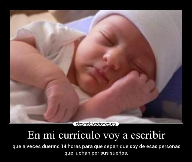 En mi currículo voy a escribir -