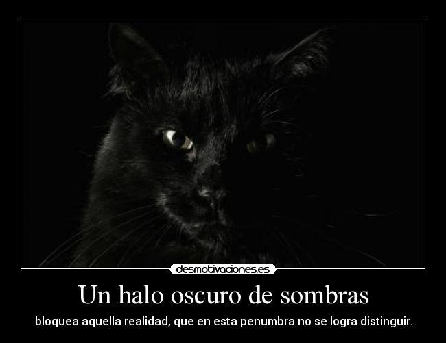 Un halo oscuro de sombras - bloquea aquella realidad, que en esta penumbra no se logra distinguir.