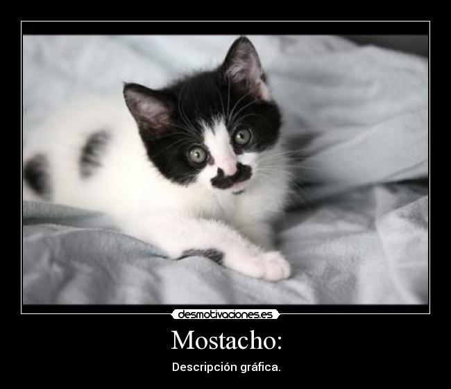 Mostacho: -