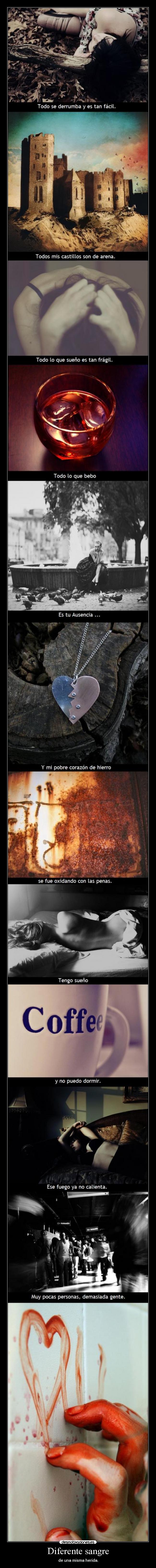 Diferente sangre - 