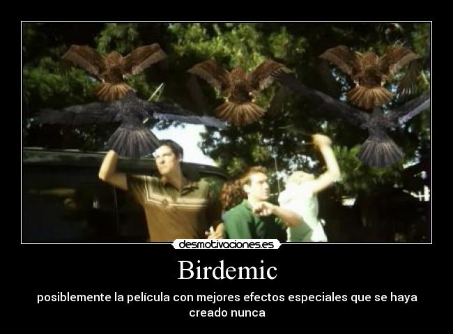 carteles birdemic peli terror pajaros asesinos desmotivaciones