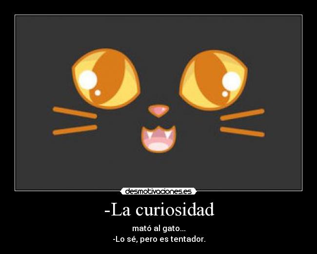 -La curiosidad -