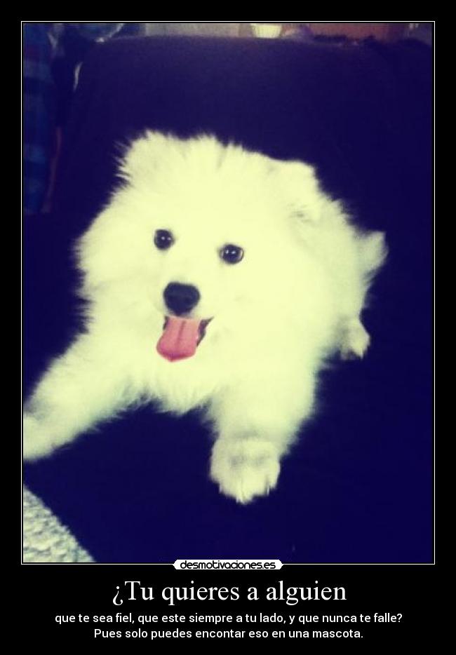 ¿Tu quieres a alguien -