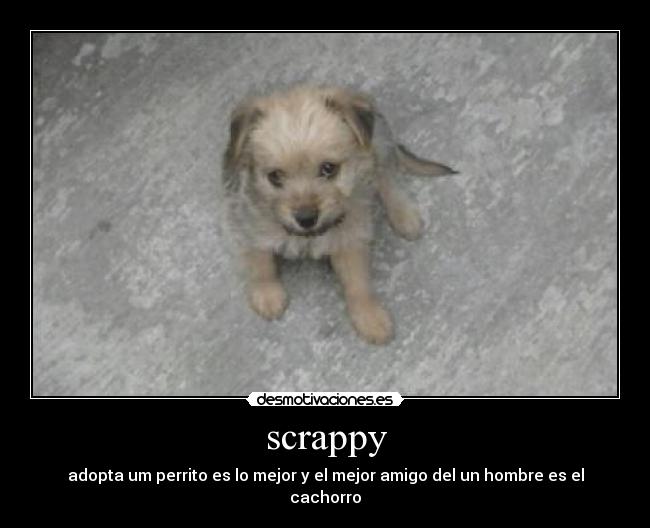 carteles may10 desmotivaciones