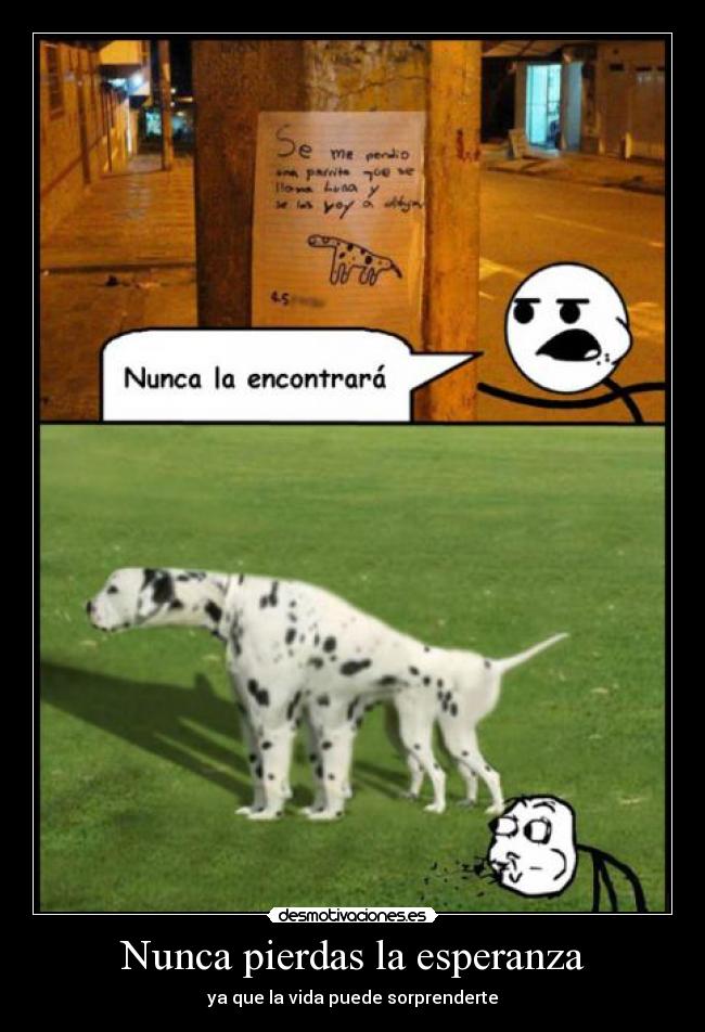 Nunca pierdas la esperanza - 