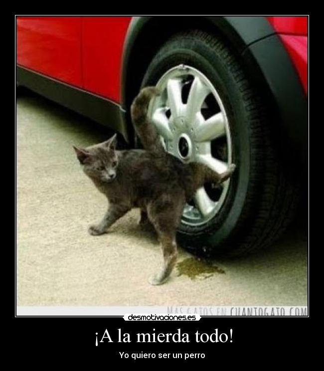 ¡A la mierda todo! -