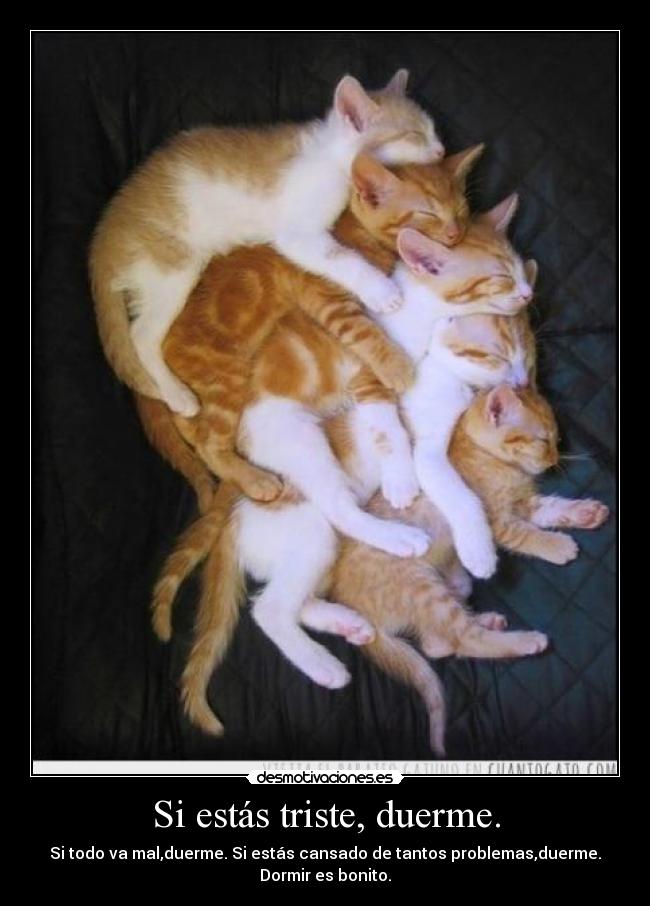 carteles dormir bonito felizz noche desmotivaciones