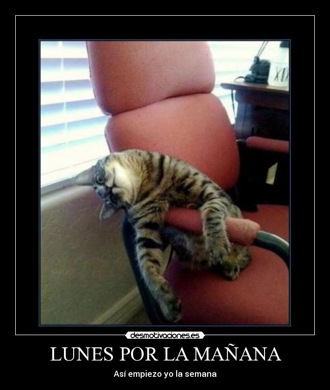 LUNES POR LA MAÑANA - Así empiezo yo la semana