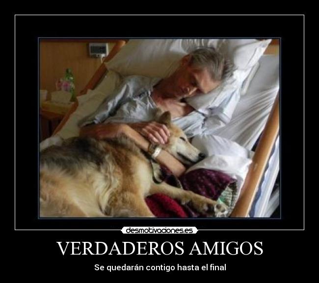 VERDADEROS AMIGOS -