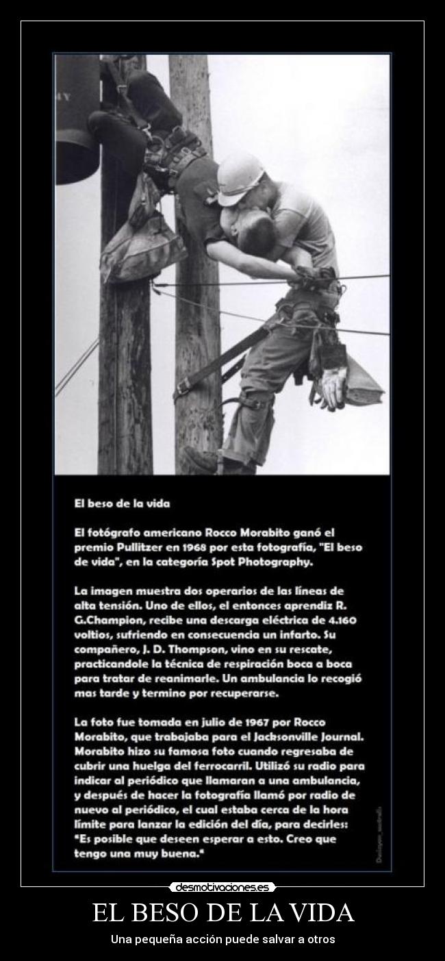 EL BESO DE LA VIDA - Una pequeña acción puede salvar a otros