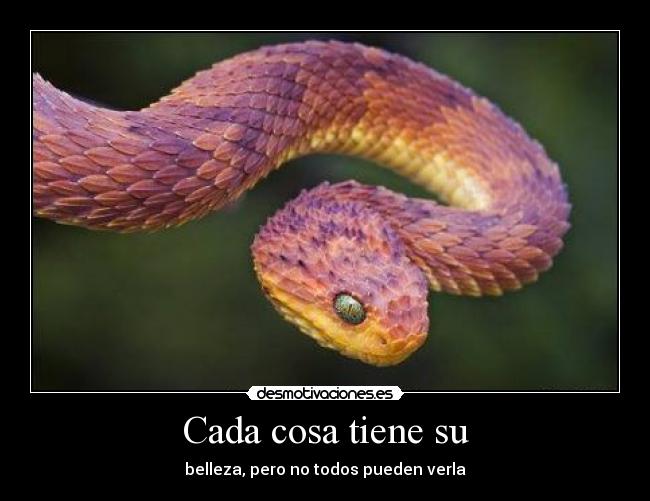 Cada cosa tiene su - 