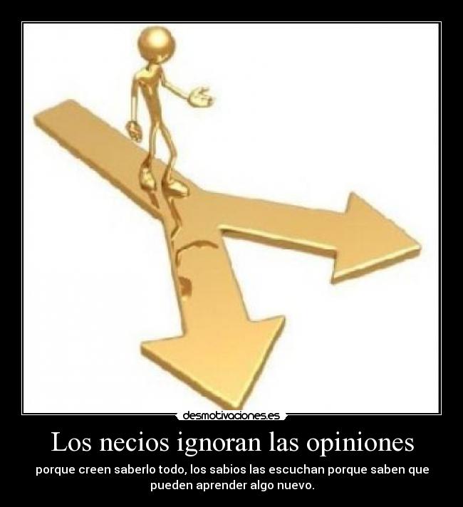 carteles opiniones desmotivaciones