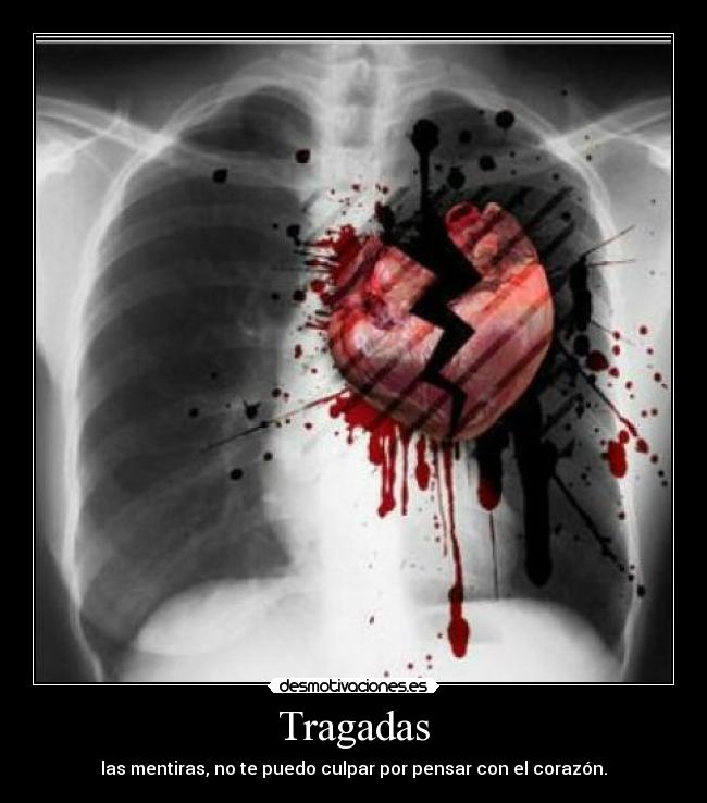 carteles se que corazon piensa vengais con chorradas desmotivaciones