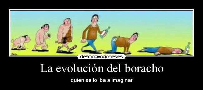carteles evolucion del boracho desmotivaciones