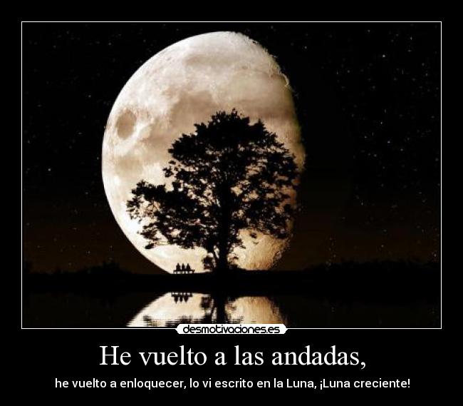 He vuelto a las andadas, -