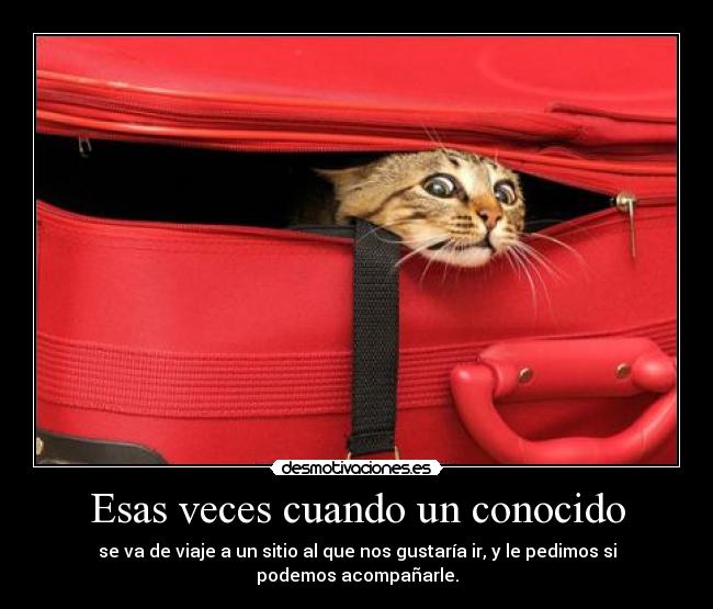 carteles tk73 unicorniosfelices aunque sea maleta desmotivaciones