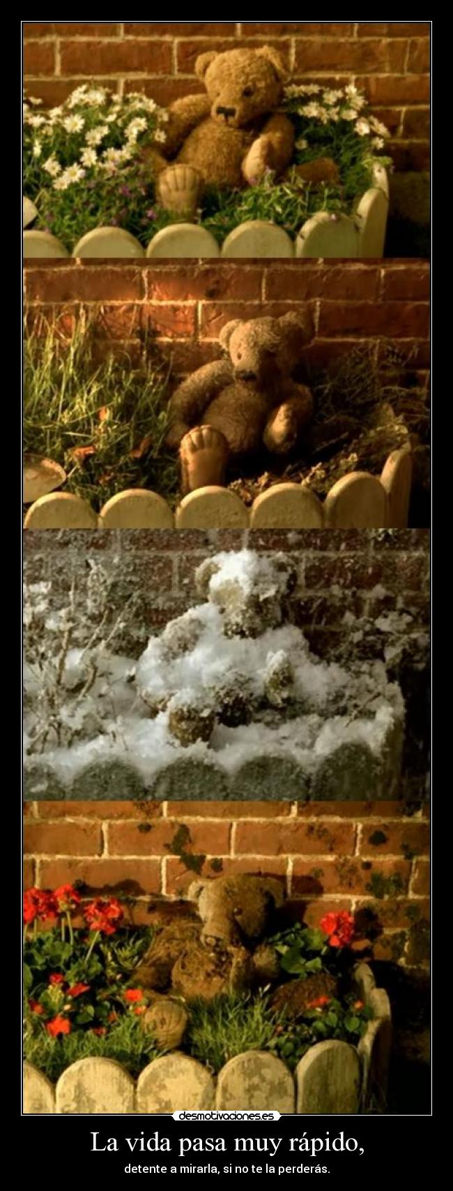 La vida pasa muy rápido, - 