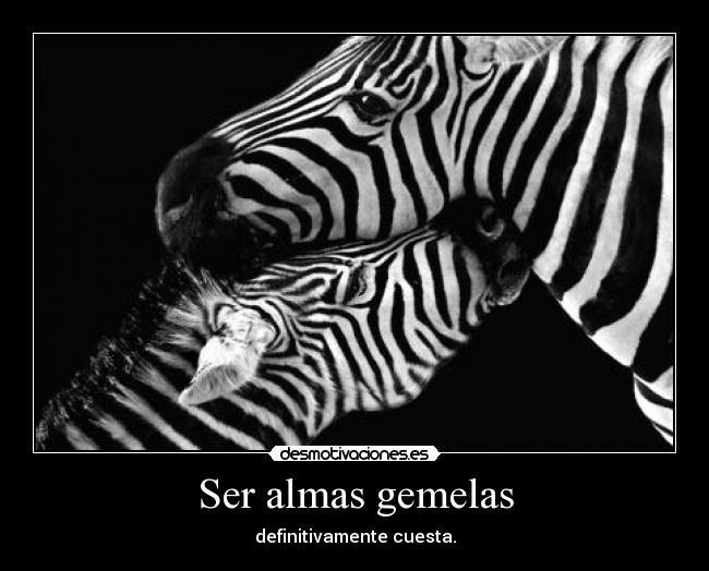 Ser almas gemelas - definitivamente cuesta.