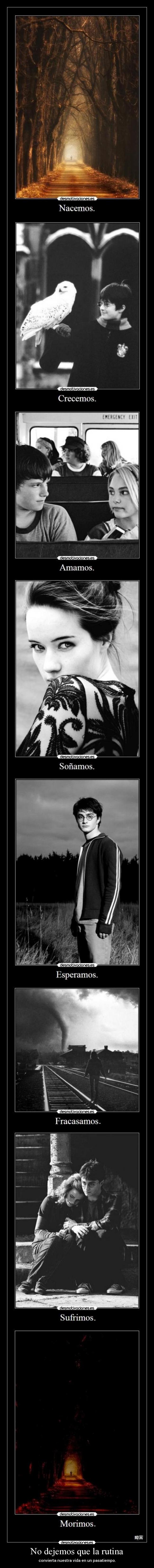 No dejemos que la rutina - 