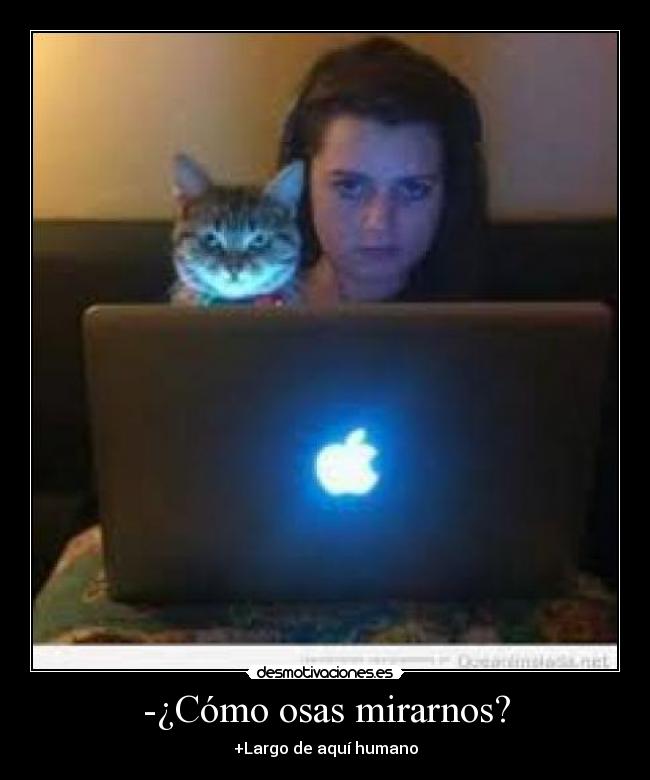 -¿Cómo osas mirarnos? - +Largo de aquí humano