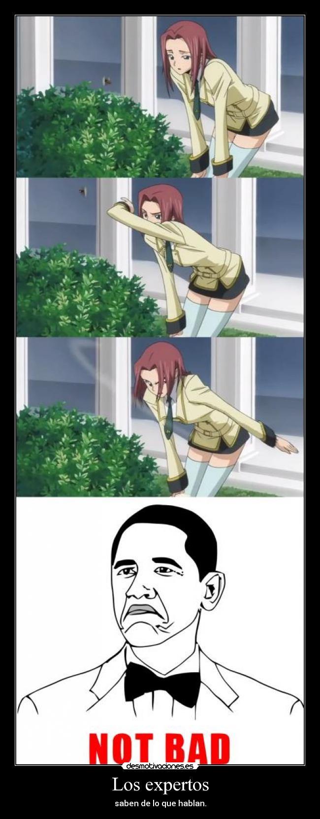 carteles raptorhunters nigatsu harukaze anime manga otaku code geass karen kallen obama experto mosca not bad desmotivaciones