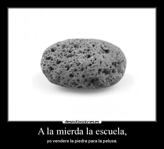 carteles escuela escuela pelusa desmotivaciones