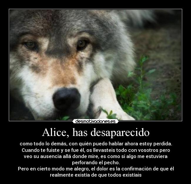 Alice, has desaparecido -