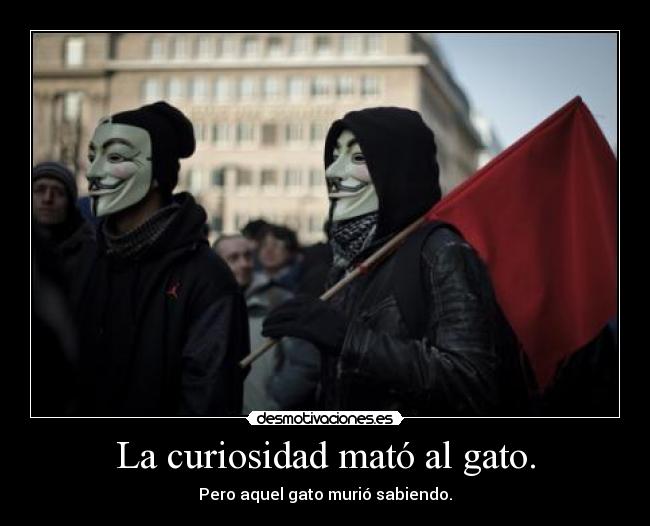 La curiosidad mató al gato. - 