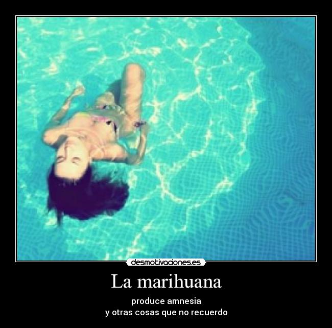 La marihuana - produce amnesia
y otras cosas que no recuerdo