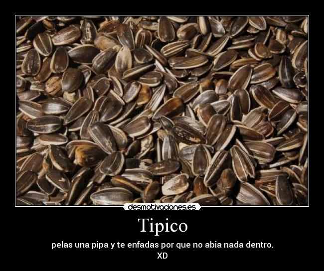 Tipico - pelas una pipa y te enfadas por que no abia nada dentro.
XD