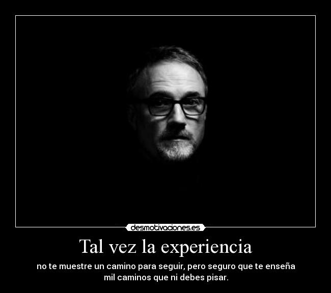 Tal vez la experiencia - 