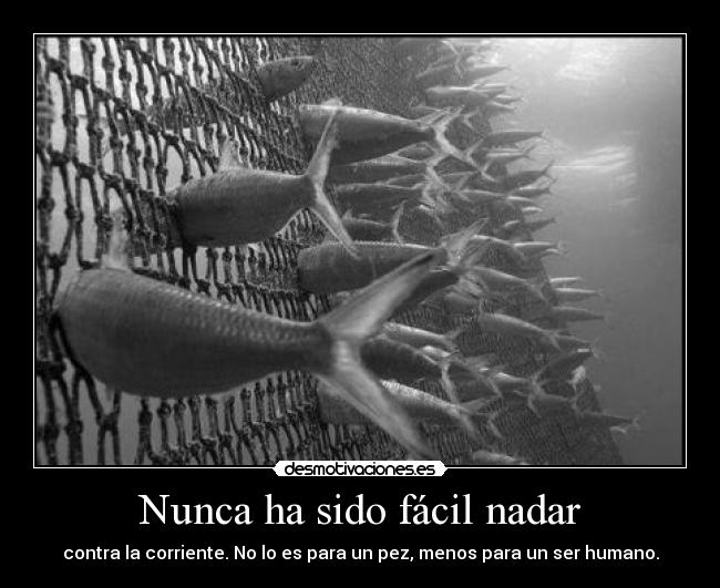 Nunca ha sido fácil nadar - 