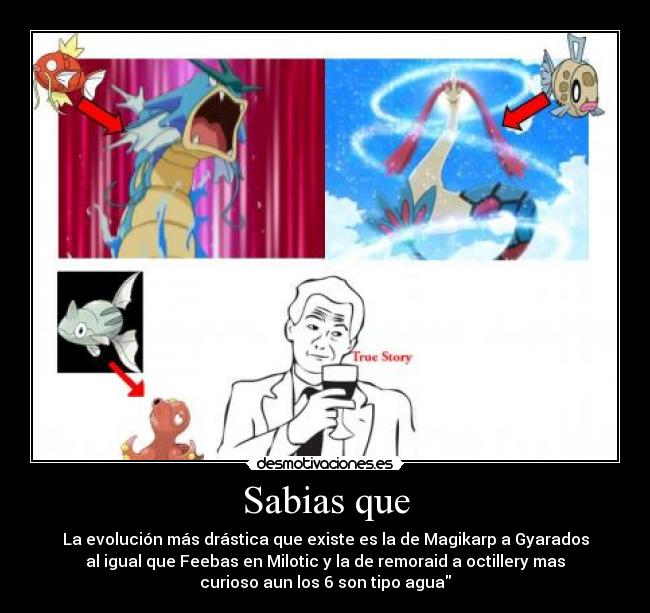 Sabias que - La evolución más drástica que existe es la de Magikarp a Gyarados
al igual que Feebas en Milotic y la de remoraid a octillery mas
curioso aun los 6 son tipo agua
