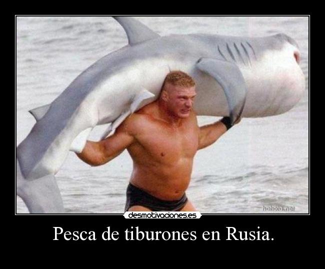 Pesca de tiburones en Rusia. - 