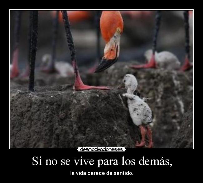 Si no se vive para los demás, - la vida carece de sentido.