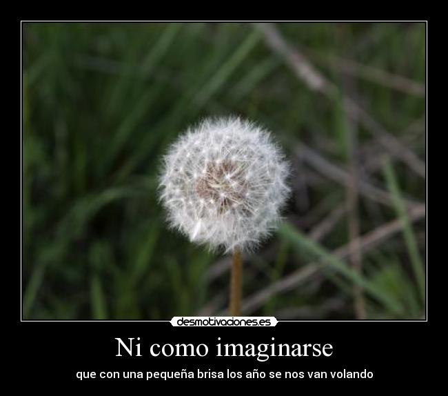 Ni como imaginarse - que con una pequeña brisa los año se nos van volando